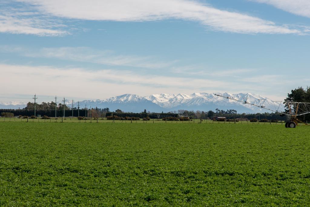 Riverfields Ashburton Exteriör bild